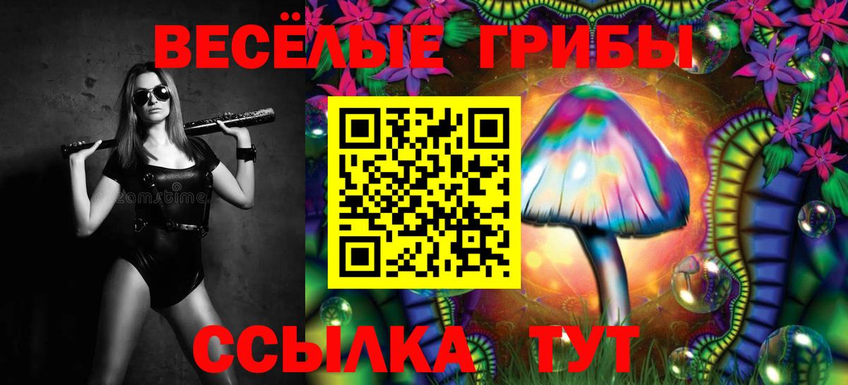 Галлюциногенные грибы GOLDEN TEACHER Кимовск