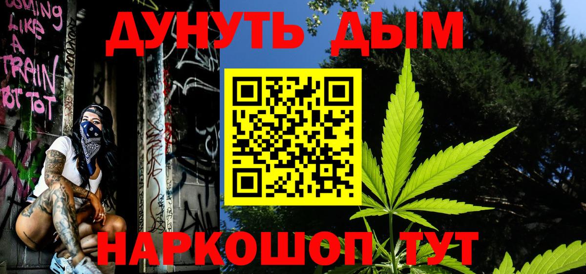 Каннабис планчик  Конопля OG Kush  Кимовск  Каннабис семена  Вход с VPN  Марихуана Ganja 